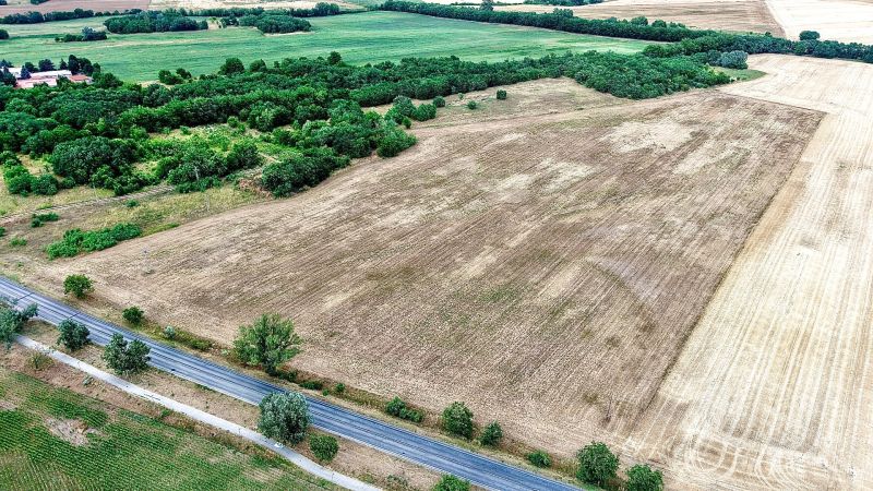 dji_fly_20260707_175502_0137_1783439980870_photo.jpeg